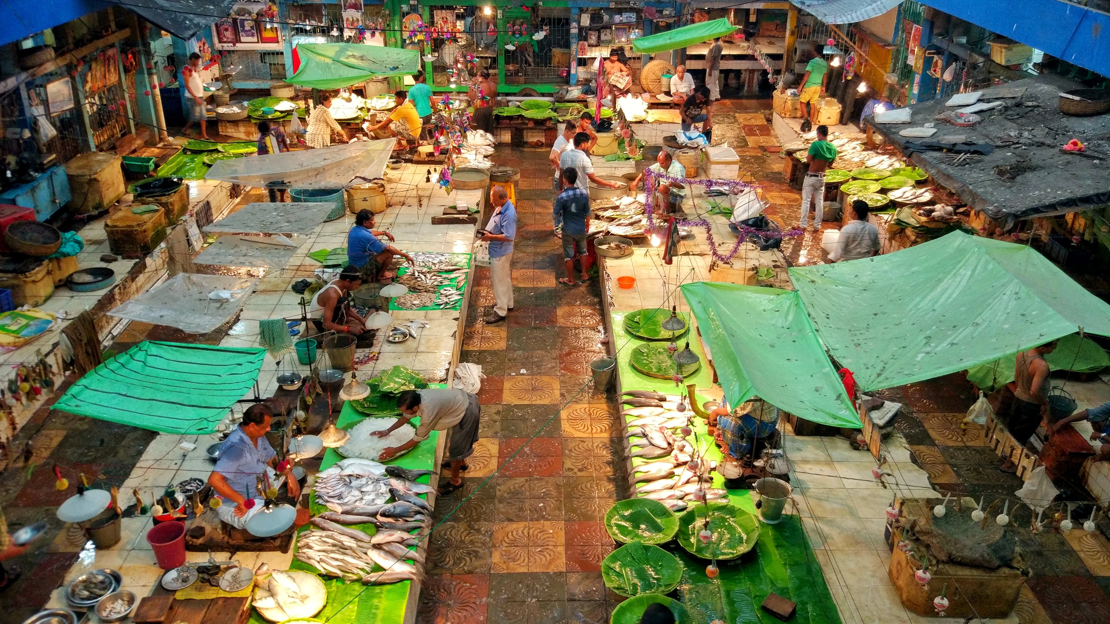 Precio del Atún Rojo y sus calidades